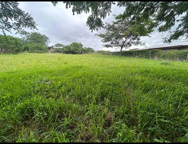 LAND FOR SALE IN ZINI RIVER ESTATE